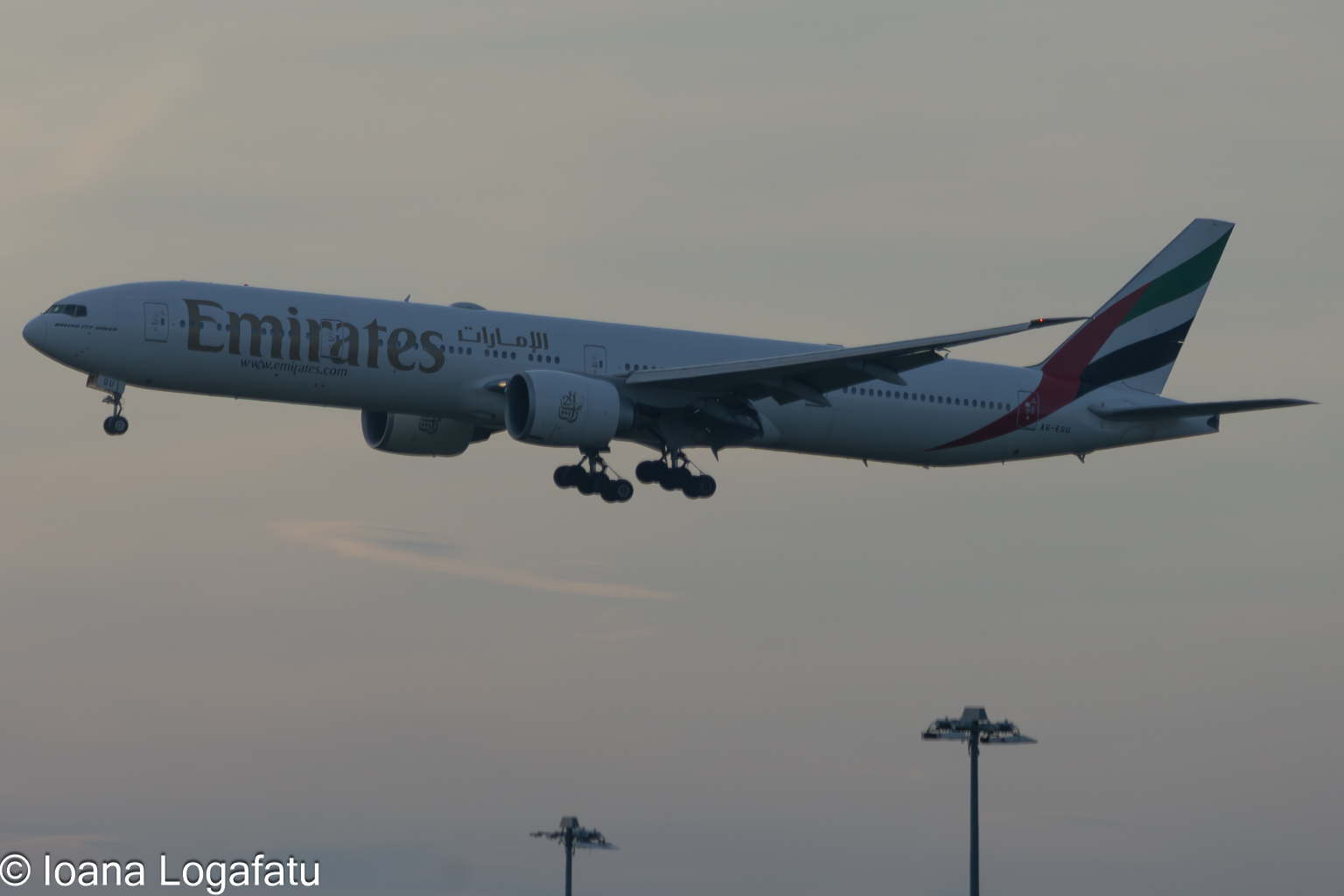 Beautiful dusk landing of a majestic airplane
